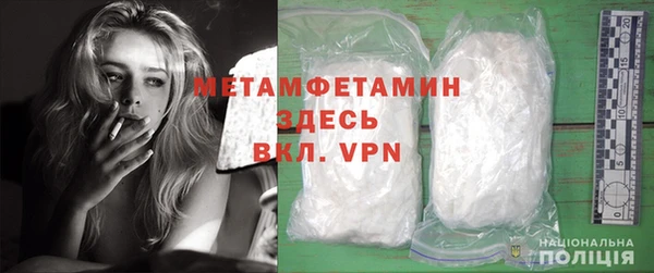 прущие грибы Дмитровск