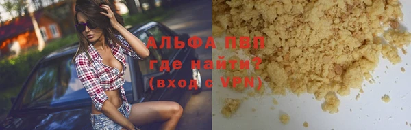 прущие грибы Дмитровск