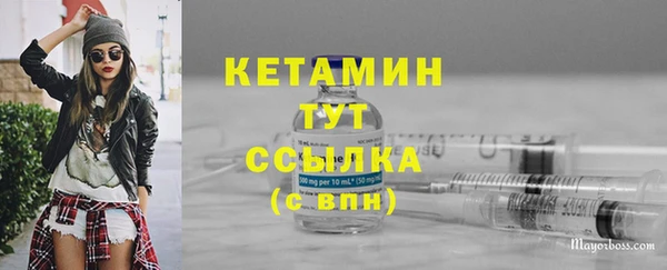 прущие грибы Дмитровск
