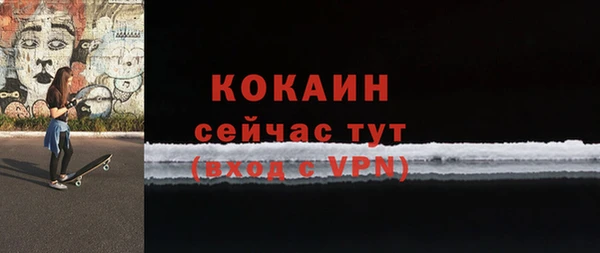 прущие грибы Дмитровск