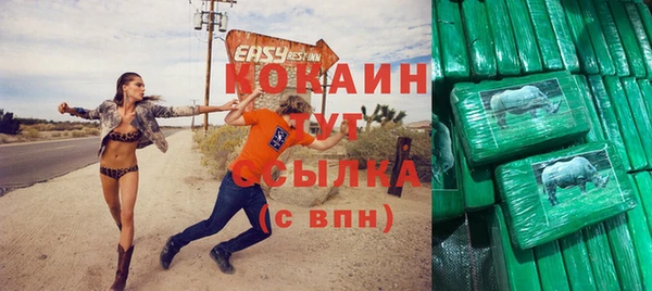 прущие грибы Дмитровск