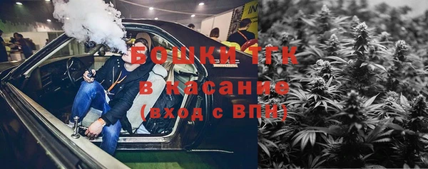 прущие грибы Дмитровск