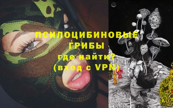 винт Дмитриев