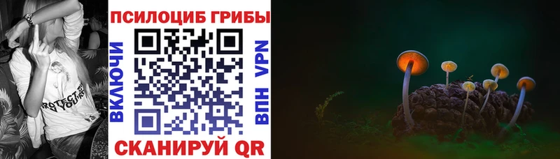 Купить где  Кизляр  Галлюциногенные грибы Magic Shrooms 