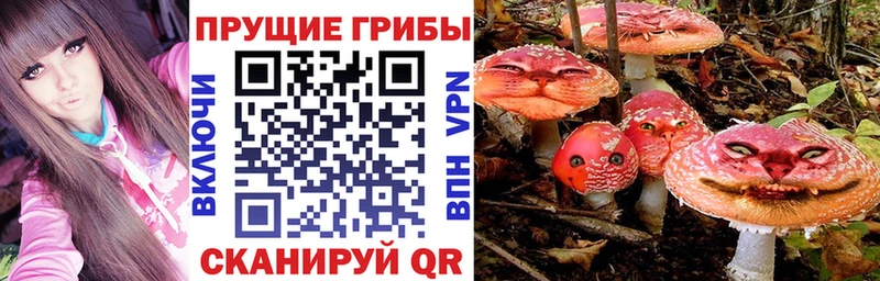 Псилоцибиновые грибы MAGIC MUSHROOMS Кизляр