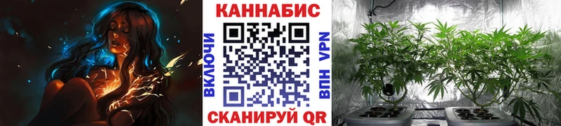 Купить  Кизляр  Конопля Ganja 